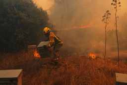 A firefighter moves beehives away from flames while battling a wildfire in San Martin de Valdeiglesias, west of Madrid, Spain, July 26, 2026. (AP Photo/Manu Fernandez, File)