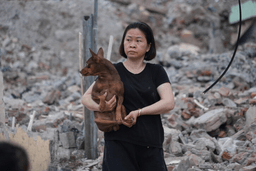 A woman carries her dog as she leaves her home that has been partially demolished to build a new ring road in Hanoi, Vietnam, Thursday, June 11, 2026. (AP Photo/Hau Dinh)